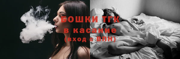 стаф Аркадак