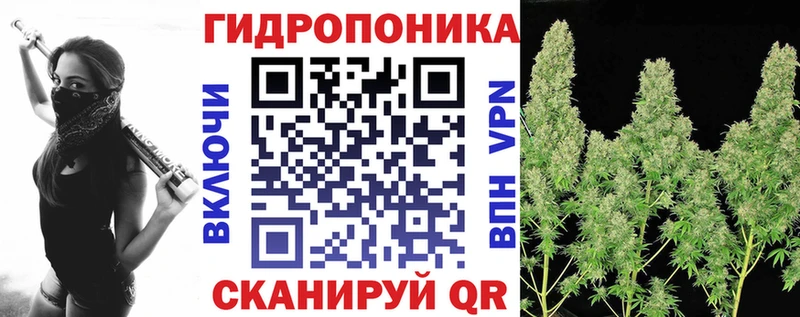 Бошки марихуана OG Kush MEGA как войти Задонск